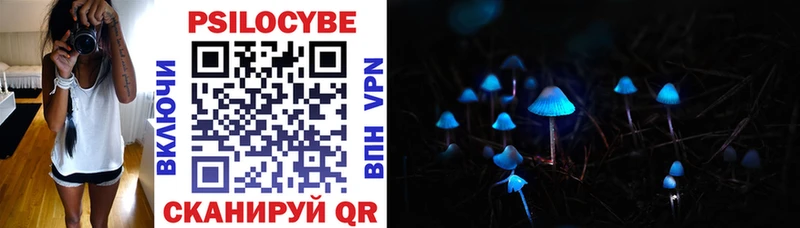 Псилоцибиновые грибы Psilocybine cubensis  Купить  Миллерово 